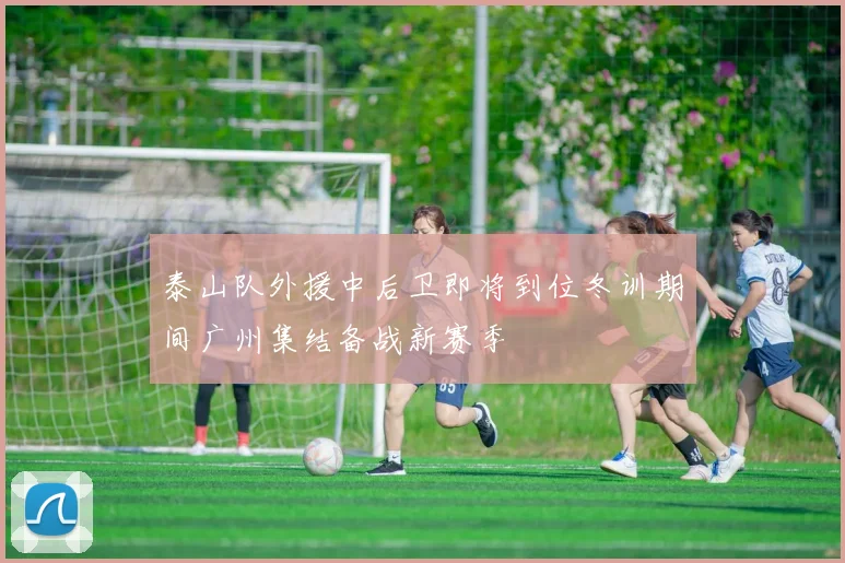 泰山队外援中后卫即将到位冬训期间广州集结备战新赛季