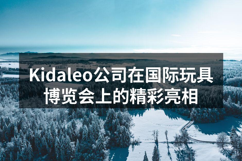 Kidaleo展位吸引众多观众